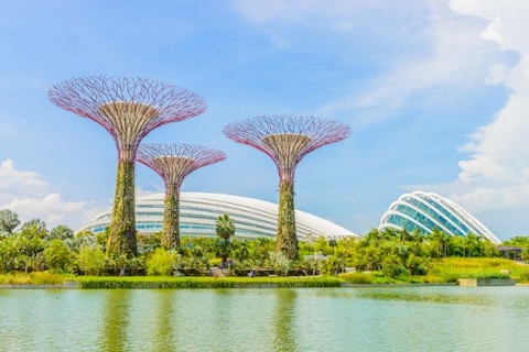 Gardens by the Bay